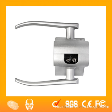 LF100 Double Sides Advanced Face Verification Industrial Door Lock